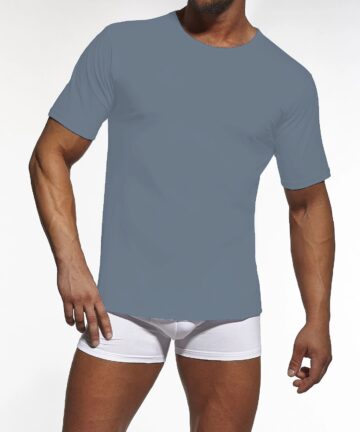 T-shirt męski Cornette 202 New khaki