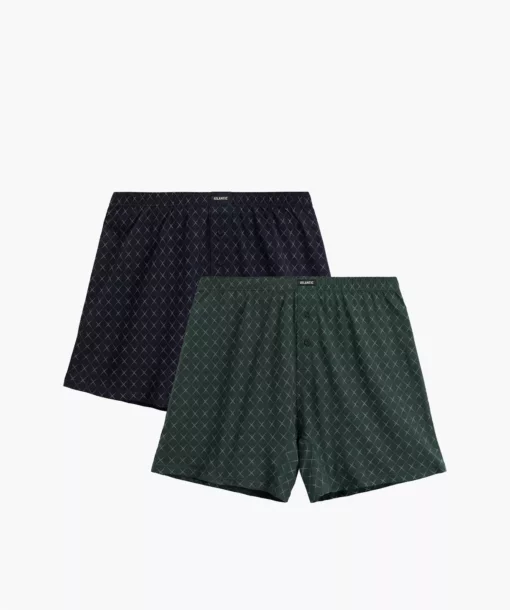 2-PACK Bokserki męskie Atlantic luźne 2MBX-077-GRA/ZIEC bawełniane