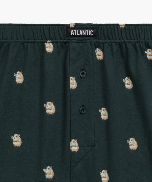 Bokserki luźne Atlantic 2MBH-003-GRA/SZG, 2-pak, granatowe/szmaragdowe WYPRZEDAŻ - obrazek 6