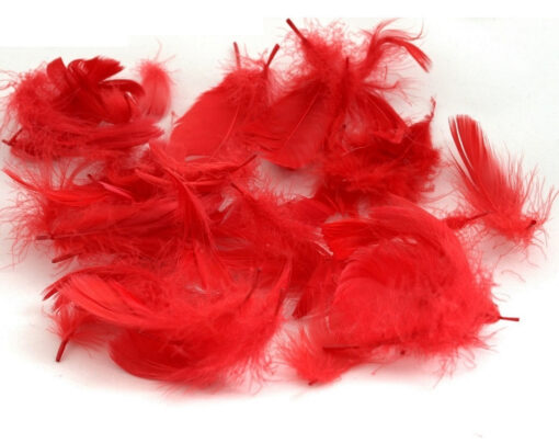 PIÓRKA OBSESSIVE CZERWONE czerwony - obrazek 2